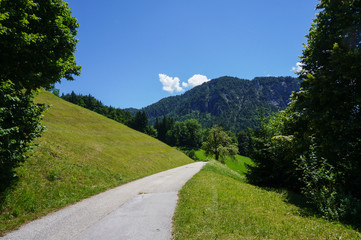 Fototapeta na wymiar Small road in the Alps