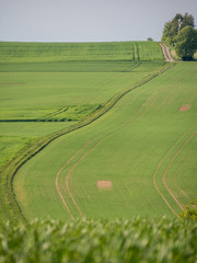 Agrarlandschaft