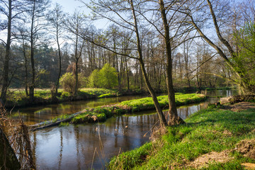 Fototapeta na wymiar Wiosna nad rzeką. Piękna nizinna rzeka Drzewiczka, Mazowsze, okolice wsi Nieznamierowice
