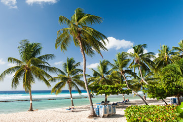 Fototapeta na wymiar Barbados