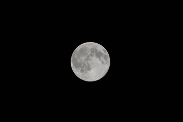 Full moon