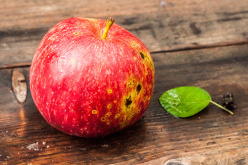 A red apple with a leaf