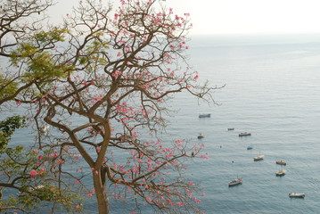 Positano Outlook