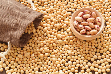 Soy and beans