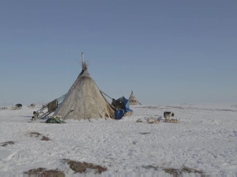 Snowy winter Tundra landscape, north of Russia