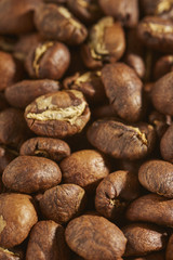 Light roast whole coffee beans in the modern style