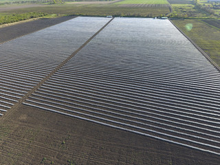 Rows of filmy greenhouses in the field. Growing vegetables in a closed ground. Greenhouses in the...