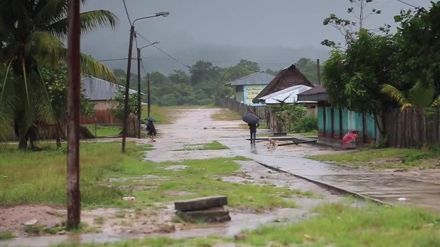 Tropical rain in the village, Peru - 6