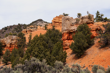 Fototapeta na wymiar Red Canyon, Utah, USA