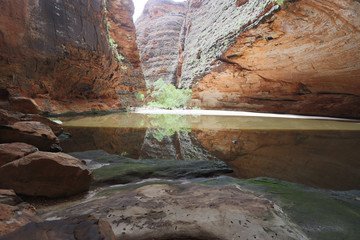 The Amphitheater, Cathedral Gorge, Purnululu National Park