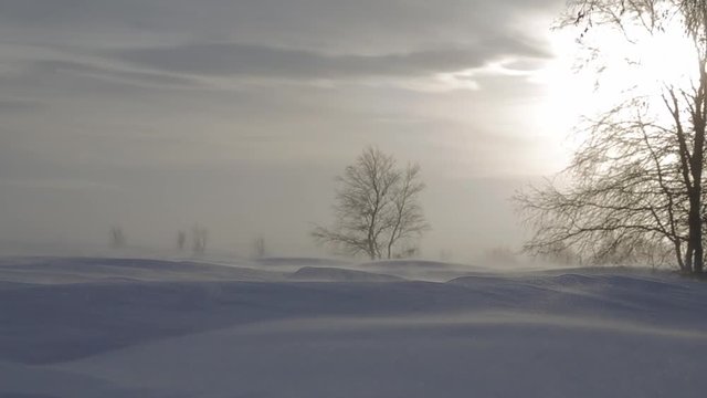 Snowy Tundra, winter landscapes of Russian North pole