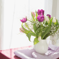 Backlit tulips in a jug