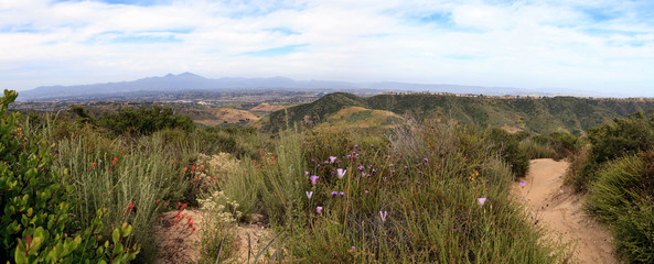 Aliso and Wood Canyons Wilderness Park hiking paths in Laguna Beach © SailingAway