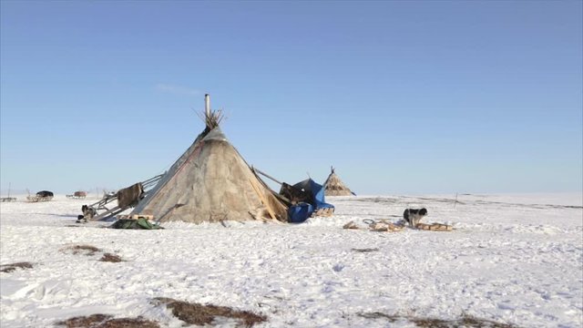 Arctic nomads camp at winter time with snowy landscape,Tundra, North of Russia - 5