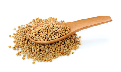 Coriander seeds in wood spoon on white background