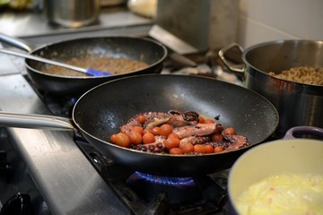 Octopus with tomato confit