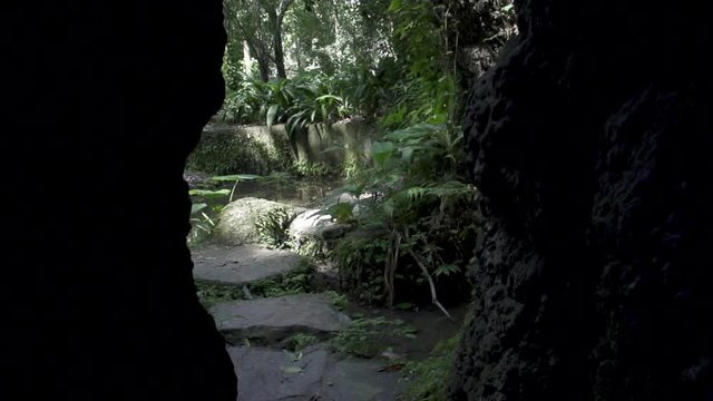 Rio De Janeiro, Brazil scenic shots in the botanical gardens - 1