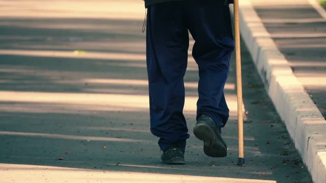 Elderly man with a cane is walking along the street, rear view, slow motion
