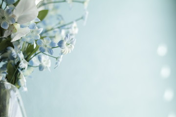 Obraz na płótnie Canvas Morning Light Flower Vase Blue