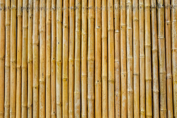 Bamboo Background