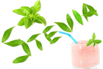 Stevia rebaudiana with leaves text and glass of drink on white background