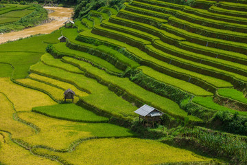 Small farmer's accommodation for relaxing during farming in the rice terrace at Mu Cang Chai is a rural district of Yen Bai Province, in the Northeast region of Vietnam.