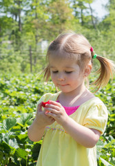 Little girl eats strawberry