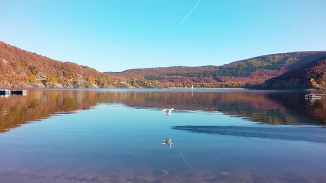 Test Driving A Brand New Drone Near The Woods - 2