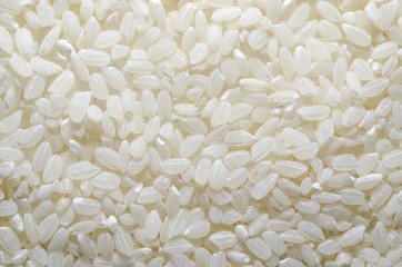 white rice background