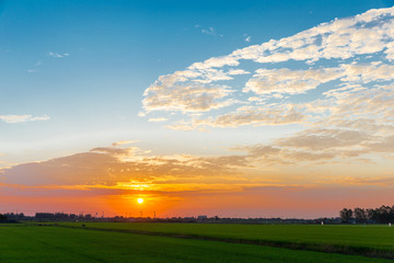 sunrise over rice fields, Thailand.