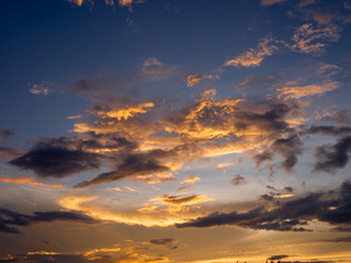 Obraz premium sunset silhouette forest in city