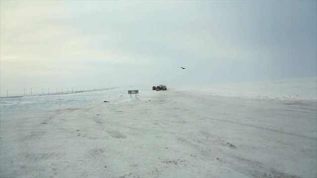 Drivers and birds at winter snow road in Russia, Tundra area, - 6