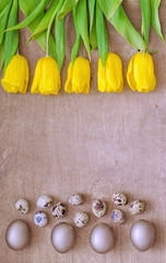 Easter background with silver eggs and yellow tulips over wood background