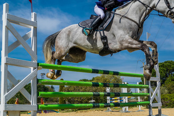 Equitation, saut d'obstacles, compétition.