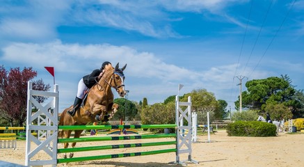 Equitation, saut d'obstacles, compétition.