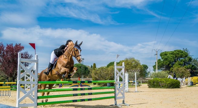 Equitation, saut d'obstacles, comp&eacute;tition.