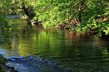 Wied / Wiedwanderweg