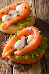 Homemade sandwiches with smoked salmon, mozzarella and radish close-up. vertical