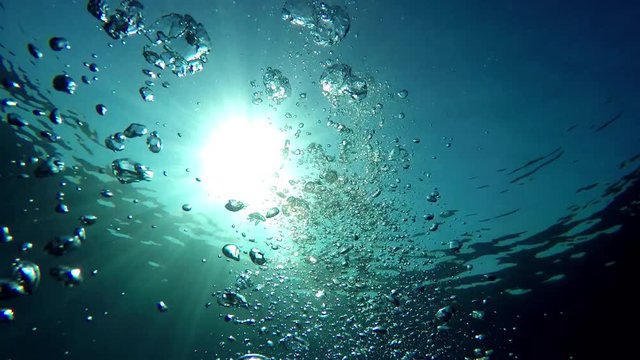 The underwater views of the ocean with its inhabitants - 6