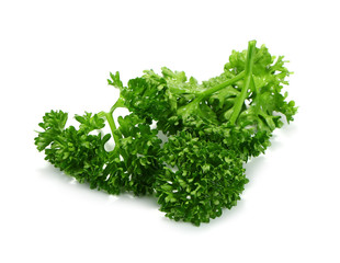 parsley isolated on a white background