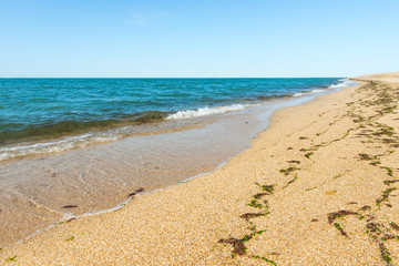 Sea shore, summer background