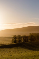 Misty rural highlands landscape in sunrise light