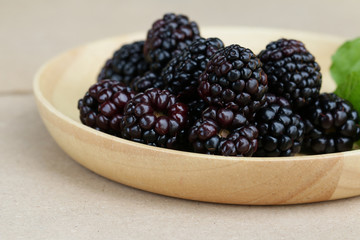 blackberry on white background