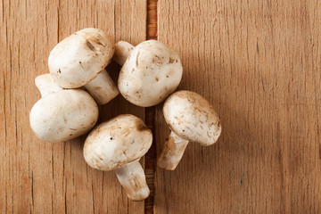 Fresh mushrooms close up