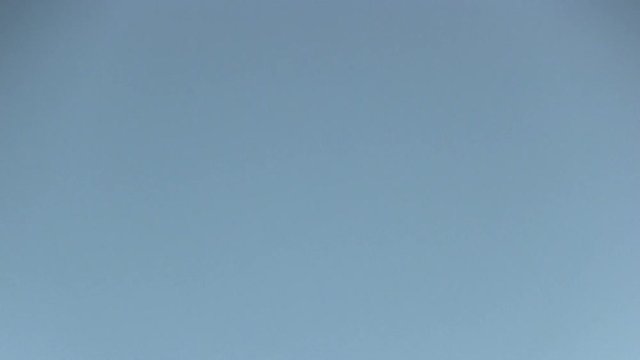 Commercial planes landing at the Tampa International Airport, Florida, USA - 5