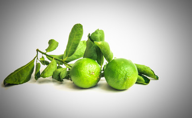 Thai lemon and green leaves isolated on white