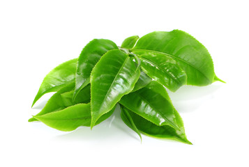 Green tea leaf isolated on white background