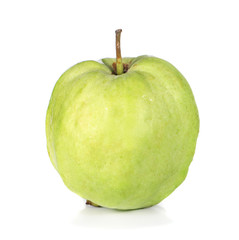 Fresh guava isolated on a white background