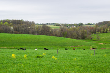 Landscape of lush farmland around southern york county pennsylvania