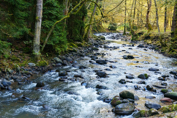 Borjomula river in Mineral water park at Borjomi. Georgia